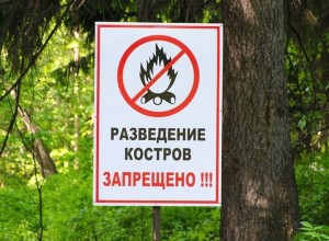 На территории Тверской области с 21 июня по 31 августа 2023 года вводится особый противопожарный режим