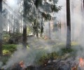 МЧС предупреждает вышневолочан о чрезвычайной пожарной опасности 