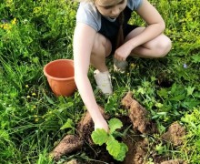 Вышневолочанка Виктория Новикова принимает участие в конкурсе «Мой дуб-моя история»