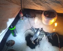 В Вышнем Волочке рыбаки вместо рыбы поймали рака