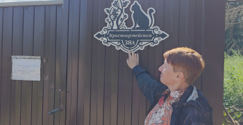 В Вышнем Волочке работает организация, которая помогает собакам! Видео