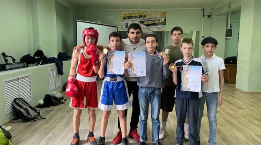 Вышневолоцкие боксёры взяли четыре медали высшего достоинства на первенстве по боксу в Удомле