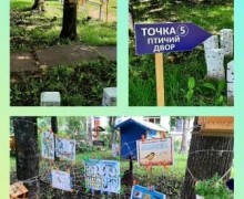 В Зеленогорском детском саду создана экологическая тропа