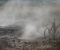 В районе населённого пункта Красномайский Вышневолоцкого городского округа произошло возгорание лесной подстилки
