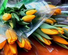 Сотрудники Тверского ЛО МВД России на транспорте присоединились к проведению традиционной акции «8 Марта - в каждый дом»