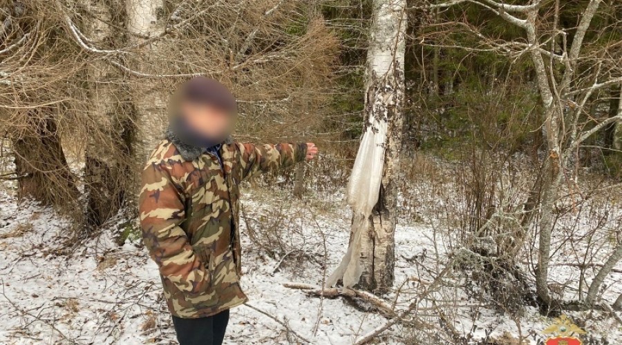 Вышневолоцкие полицейские задержали подозреваемого в незаконной охоте