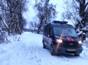 На пожаре в деревне Дятлово Вышневолоцкого городского округа погиб мужчина