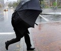 МЧС предупреждает вышневолочан о сильном дожде и ветре в понедельник