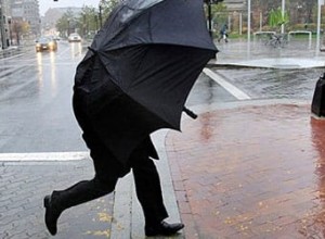 МЧС предупреждает вышневолочан о сильном дожде и усилении ветра 12 ноября