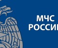 В Вышнем Волочке спасатели помогли хаски, застрявшей в заброшке