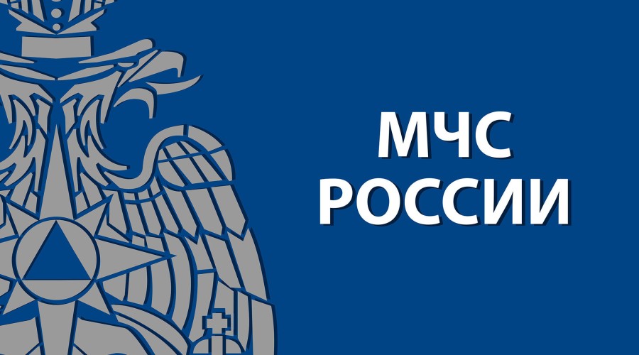 В Вышнем Волочке спасатели помогли хаски, застрявшей в заброшке