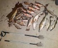 Сотрудники МО МВД России «Вышневолоцкий» задержали рецидивиста, ловившего рыбу острогой