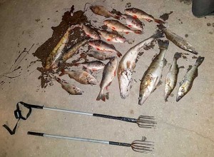 Сотрудники МО МВД России «Вышневолоцкий» задержали рецидивиста, ловившего рыбу острогой