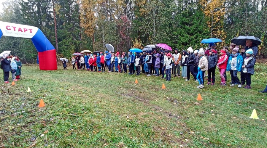 В Вышневолоцком округе проходил кросс среди лыжников - гонщиков памяти А.П. Маковеева