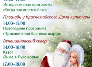 Известна дата, когда в Вышневолоцкий городской округ приедет Дедушка Мороз из Великого Устюга