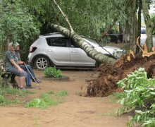 Последствия урагана в микрорайоне Горка Вышний Волочёк