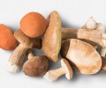 Роспотребнадзор назвал вышневолочанам восемь причин, по которым нужно чаще есть грибы