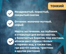 МЧС предупреждает вышневолочан: осторожно тонкий лёд!