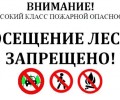В Вышневолоцком городском округе введено ограничение на посещение лесов из-за IV класса пожарной опасности