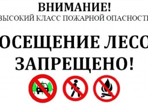 В Вышневолоцком городском округе введено ограничение на посещение лесов из-за IV класса пожарной опасности