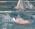 В Вышнем Волочке состоялись областные соревнования по плаванию «Олимпийские надежды»
