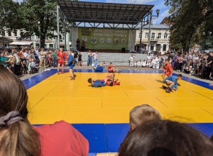 Вышневолоцкие спортсмены показали своё мастерство на татами в День физкультурника