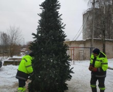 В микрорайоне МДОК Вышнего Волочка установили ёлочку