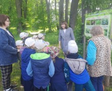 Воспитанники детского сада №9 Вышнего Волочка прошли по экологической тропе