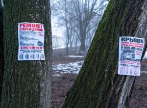 Почему в Вышнем Волочке и районе деревья изуродованы аляповатой рекламой? Народная новость