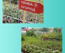 В Зеленогорском детском саду создана экологическая тропа