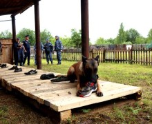 В командном зачете кинологи ИК-5 Вышнего Волочка показали лучшие результаты