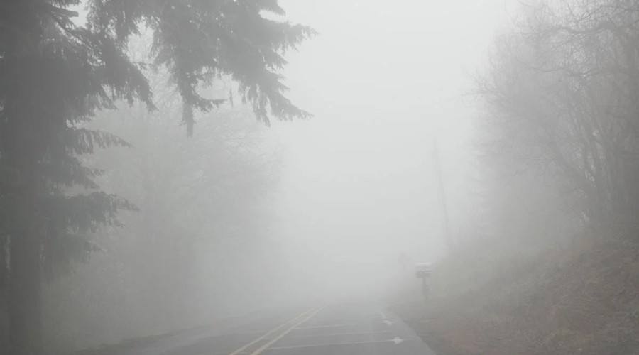 МЧС предупреждает вышневолочан о сильном тумане