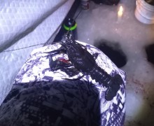 В Вышнем Волочке рыбаки вместо рыбы поймали рака