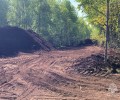 Из-за погодных условий в Тверской области вводится запрет на посещение лесов