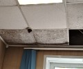 В Вышнем Волочке ЕРКЦ в ужасном состоянии. Народная новость