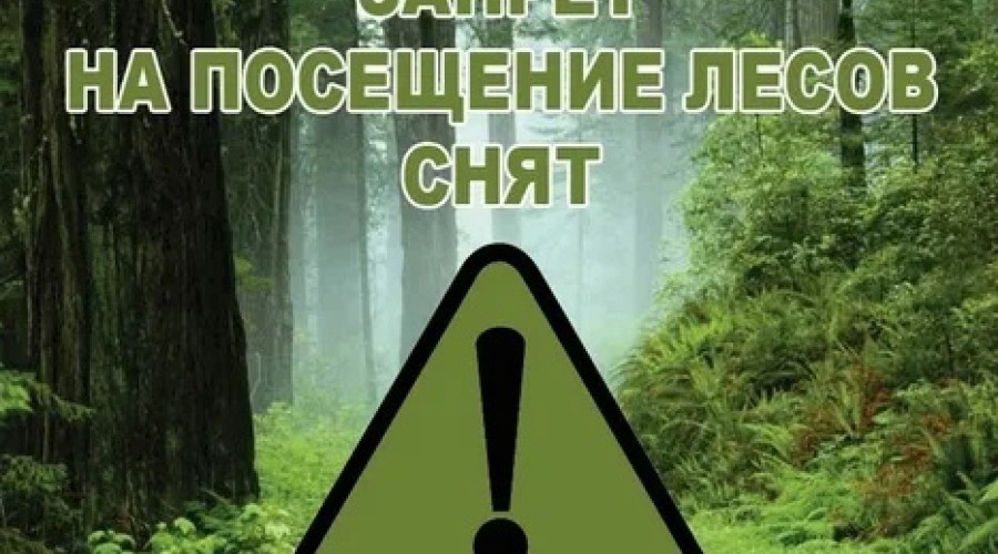 В Вышневолоцком городском округе отменили ограничения по пребыванию в лесах