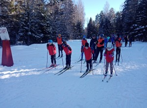 В Вышневолоцком городском округе назвали лучшие команды по лыжным гонкам среди образовательных учреждений 