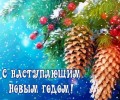 Поздравление Главы Вышневолоцкого городского округа Натальи Рощиной с Наступающим Новым годом