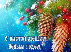 Поздравление Главы Вышневолоцкого городского округа Натальи Рощиной с Наступающим Новым годом