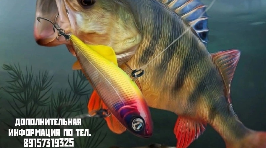 Вышневолоцких рыбаков приглашают на фестиваль «Осенний хищник»