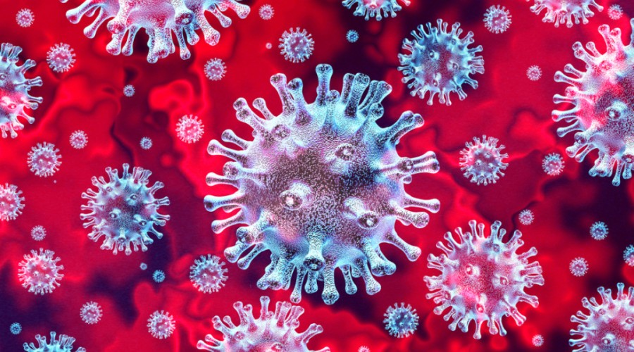 Глава Pfizer сообщил о начале новой волны коронавируса в мире