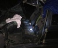 На трассе М-10 Вышневолоцкого городского округа легковушка сбила лося. Пострадал водитель