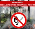 На территории муниципального образования Вышневолоцкий городской округ установлен особый противопожарный режим