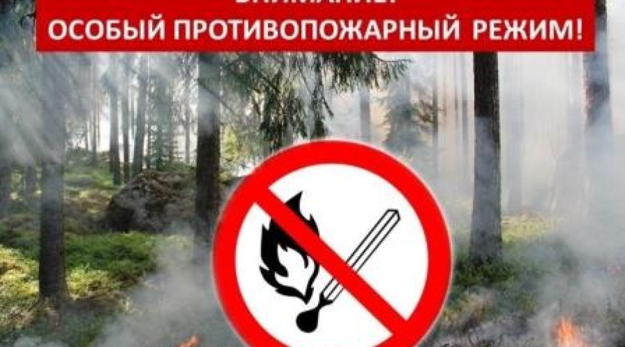 На территории муниципального образования Вышневолоцкий городской округ установлен особый противопожарный режим