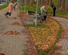 В Вышневолоцком городском округе проходит месячник по благоустройству, озеленению и улучшению санитарного состояния территории округа.