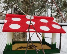 Юные натуралисты Вышневолоцкого городского округа сделали больше 200 кормушек для птиц