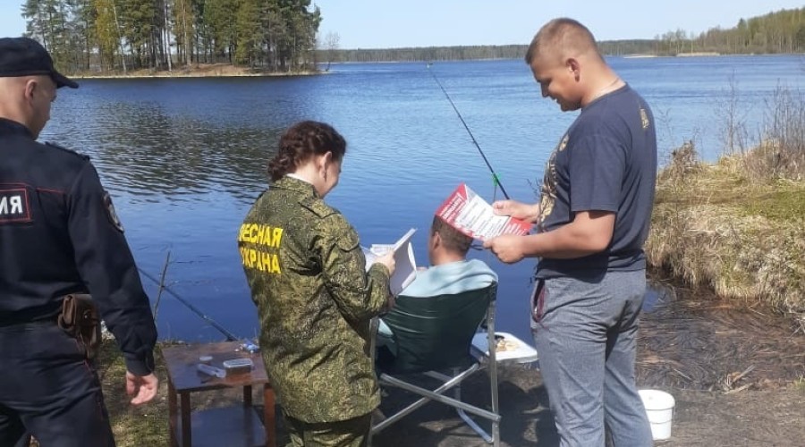 Сотрудники Лесного хозяйства разъясняли вышневолочанам правила пожарной безопасности в лесах