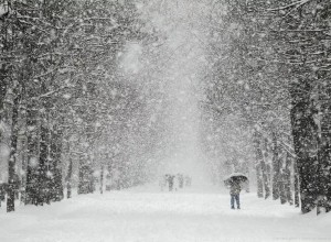МЧС предупреждает вышневолочан о сильном снегопаде 15 декабря
