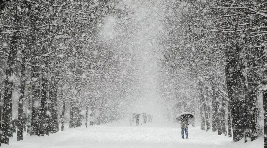 МЧС предупреждает вышневолочан о сильном снегопаде 15 декабря