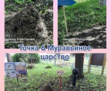 В Зеленогорском детском саду создана экологическая тропа